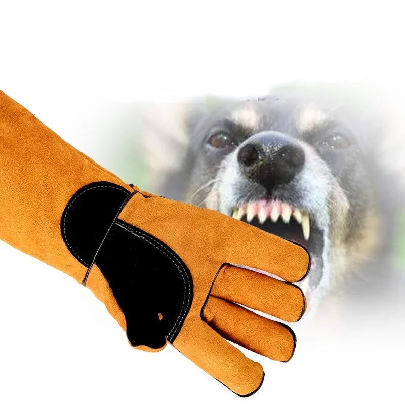 ถุงมือสัตว์เลี้ยง Cowhide หนัง - Leatherwork Training บทวิจารณ์และราคา