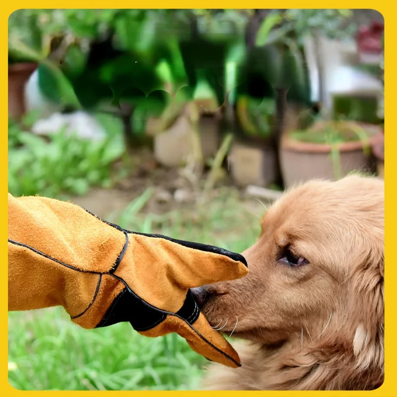 ถุงมือสัตว์เลี้ยง Cowhide หนัง - Leatherwork Training บทวิจารณ์และราคา