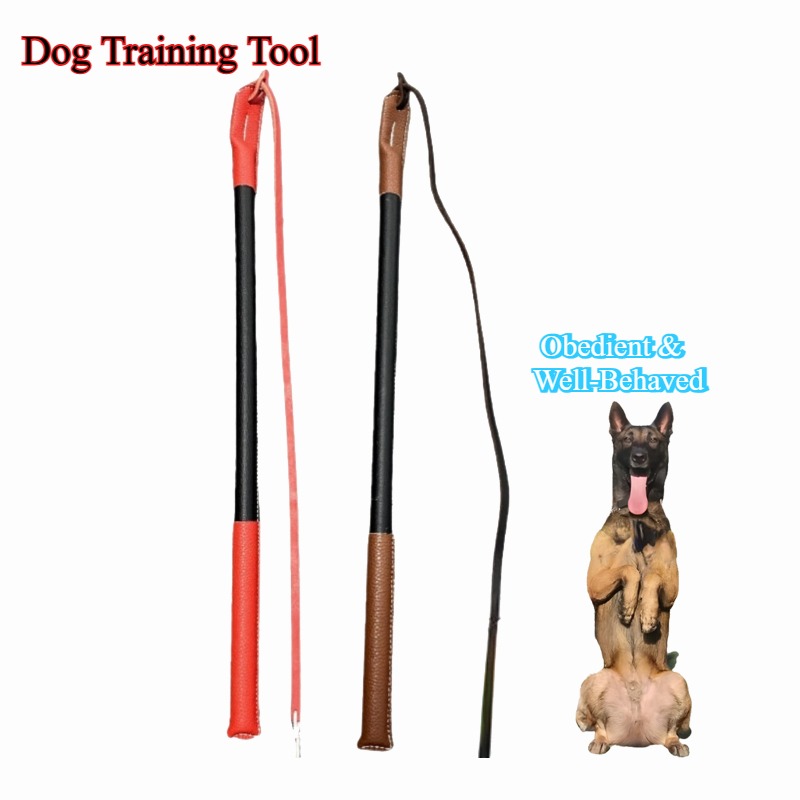แส้หนังสำหรับฝึกสุนัข - อุปกรณ - Leatherwork Training บทวิจารณ์และราคา